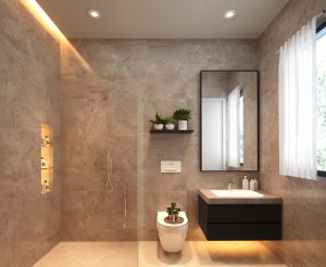 barrye54 toilet 2